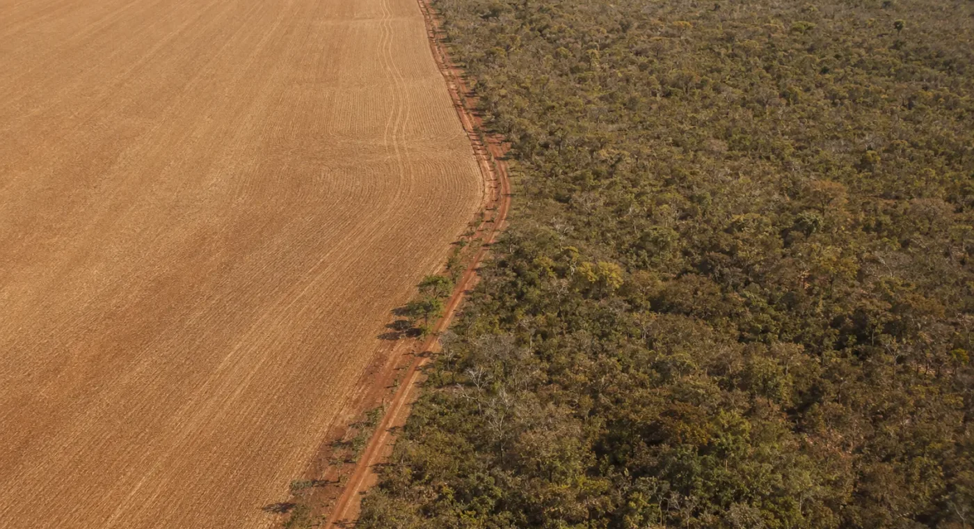 Vista aérea da divisa entre lavoura e vegetação nativa do cerrado, com estrada de terra no limite